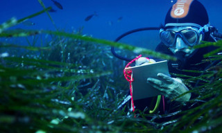 Natuur op 2: Mediterranean - Life under siege