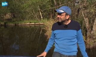 Natuurlijk Noord-Holland