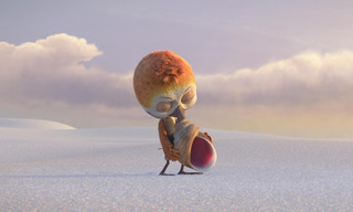 Pluisje durft te vliegen