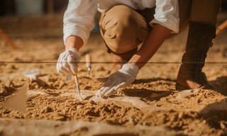 Secrets of the Jurassic Dinosaurs