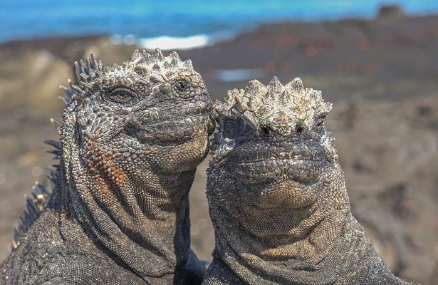 Still uit Spy in the Ocean