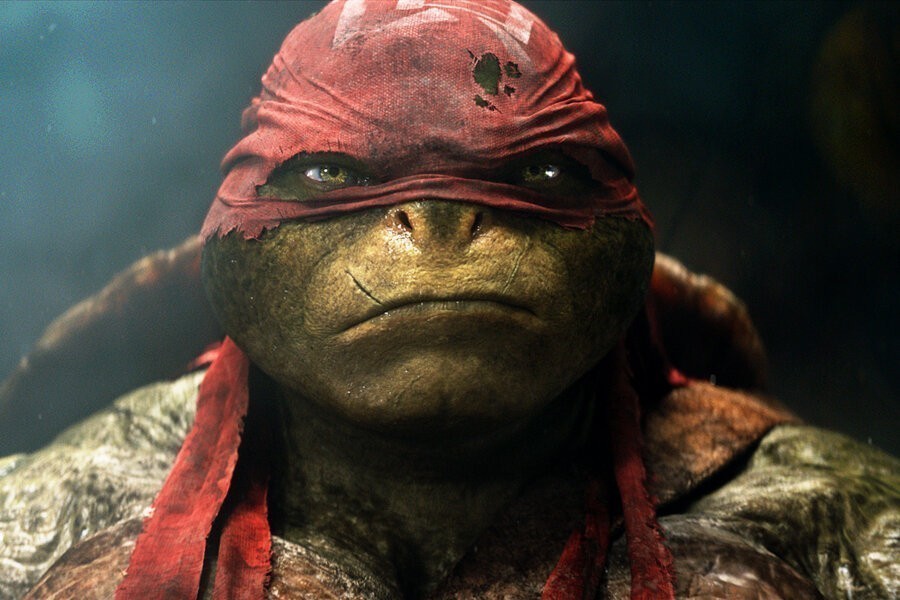 Teenage Mutant Ninja Turtles