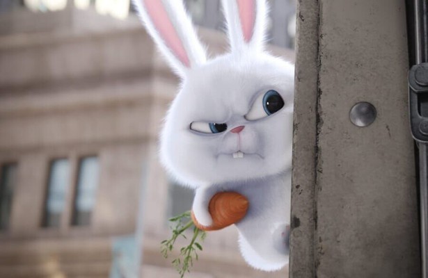 Still uit The Secret Life of Pets