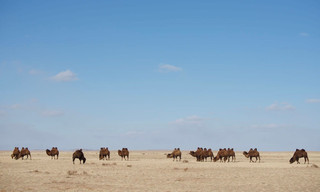 Wild Mongolia: Land of extremes