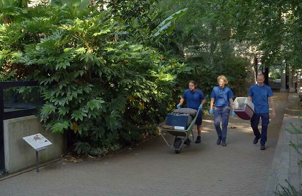 Still uit Bij Ons in de Dierentuin
