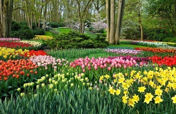 De Keukenhof