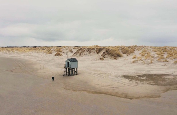 Lies Visschedijk in de vogelhut