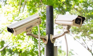 All light, everywhere