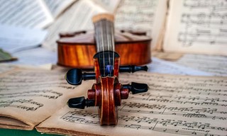 AvroTros kort klassiek