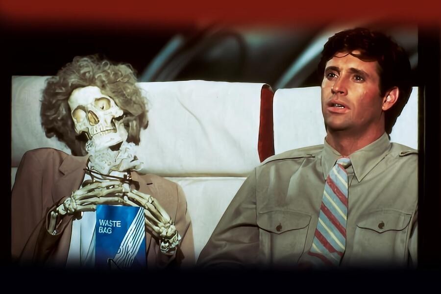 Airplane II: The Sequel