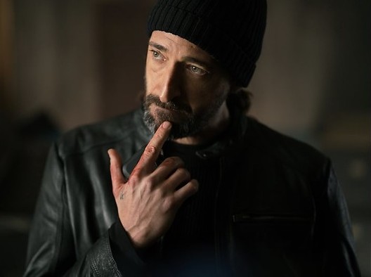 De vechthond van Antonio Banderas