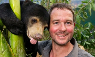 Bears About the House