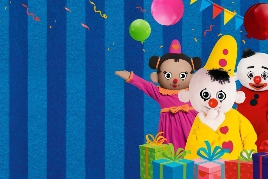 Bumba: Het grote verjaardagsfeest