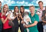 Bondi vet: Coast to coast