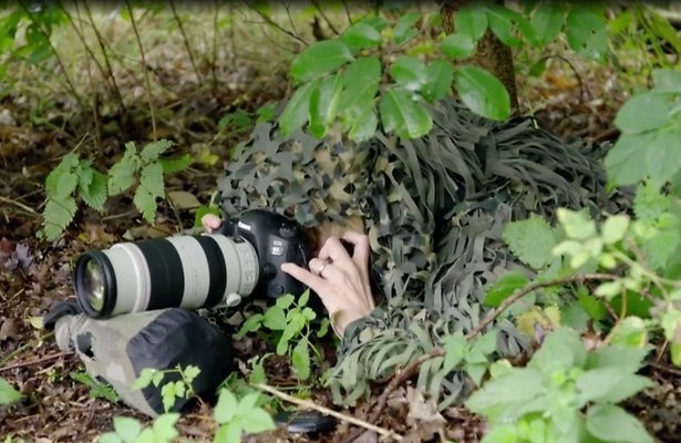 Verkleed als struik in de bosjes