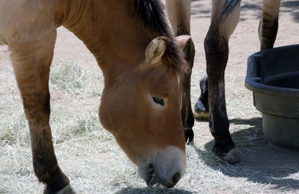De Kennis van Nu Special