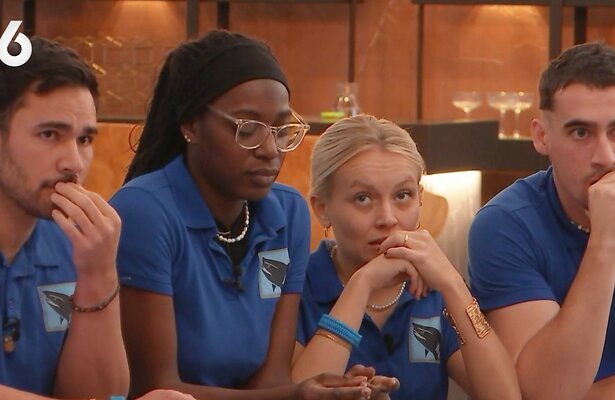 De Haaien in De Bondgenoten 2023