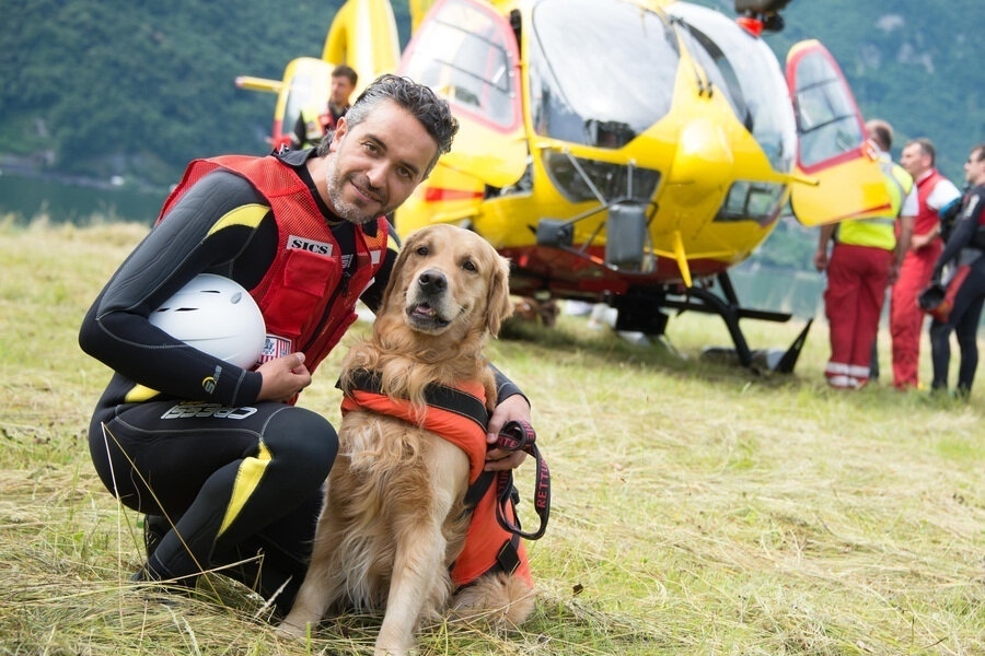 Dogs: The untold story