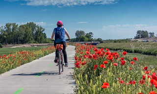 Enquêtes de région - Occitanie