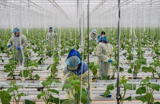 Still uit Food for Thought (VPRO)