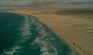 Geo Reportage: Kapverden - Zwei Hunde als Schildkrötenretter

