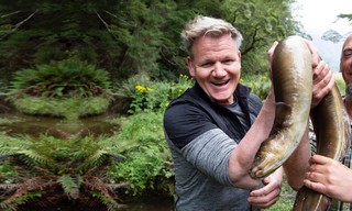 Gordon Ramsay: Uncharted