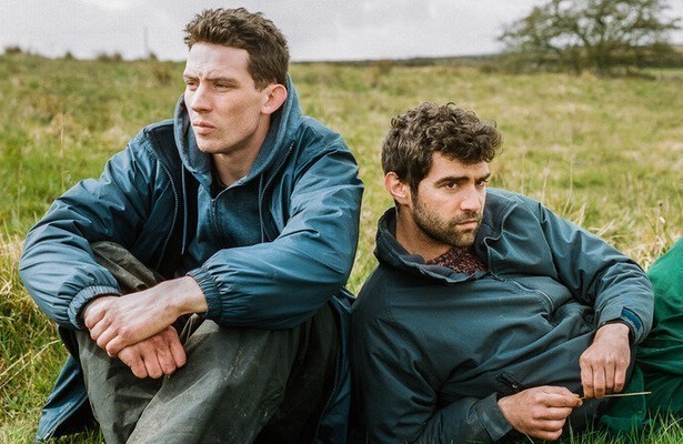 Liefde op het platteland