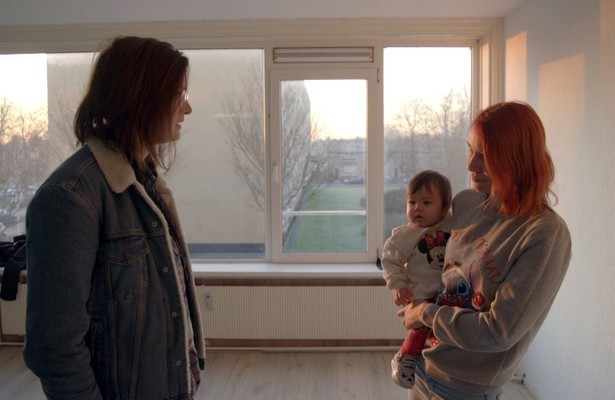 Half Holland Dakloos