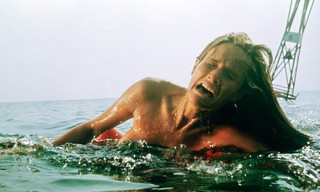 Jaws