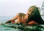 Jaws
