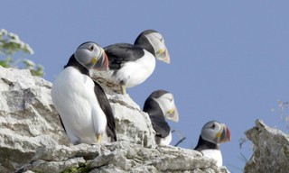 Kanadas Nationalparks