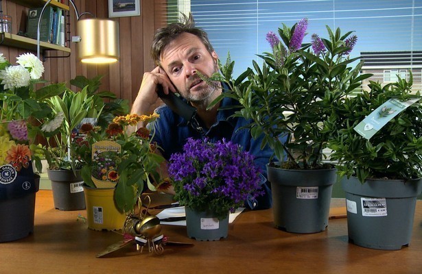 Keuringsdienst van waarde