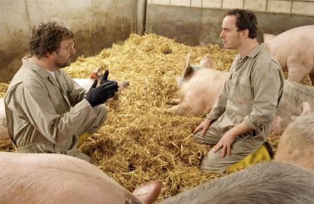 Keuringsdienst van Waarde