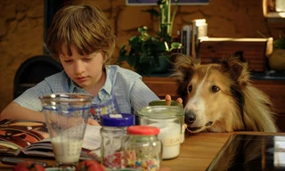 Lassie: Een Nieuw Avontuur