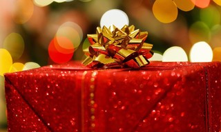 Les 30 travaux de Charlie et Elliot