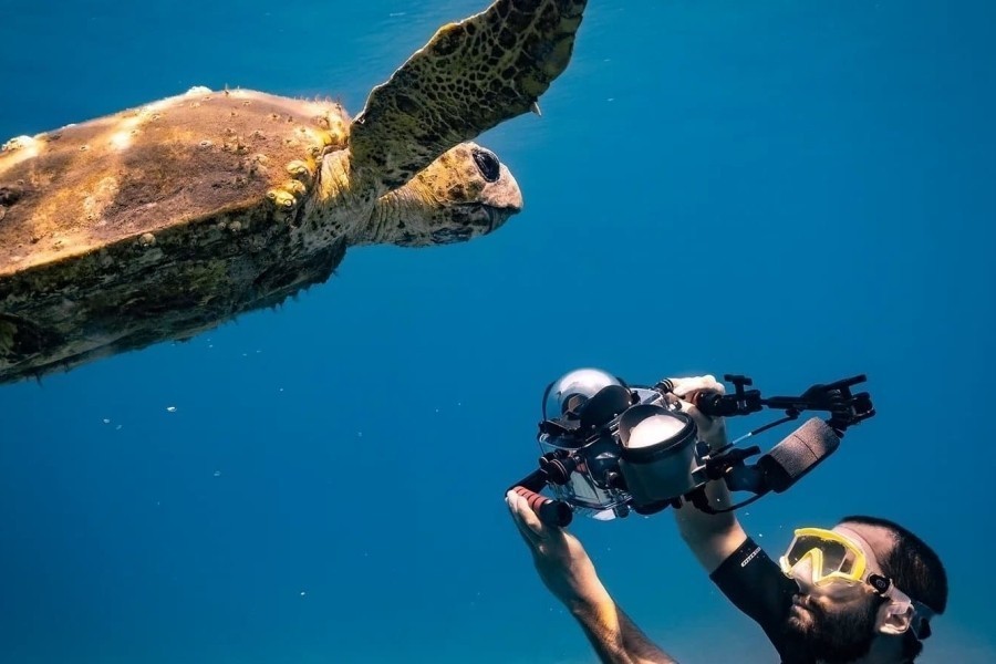 Mediterranean: Life Under Siege