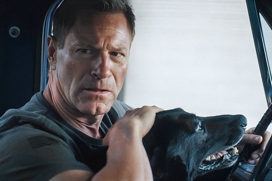 Muzzle 2: City of Wolves