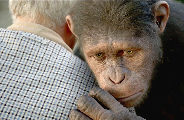Still uit Rise of the Planet of the Apes