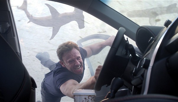 Haaienstorm over Washington