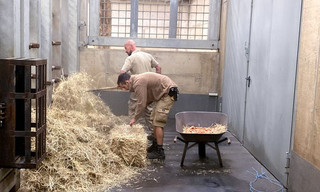 Seelöwe & Co. - tierisch beliebt