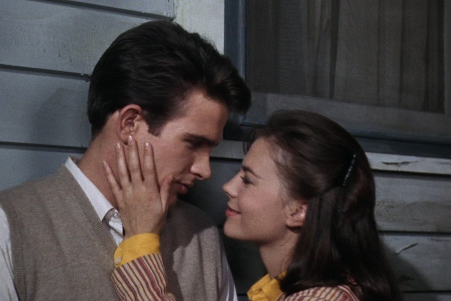 Splendor in the Grass