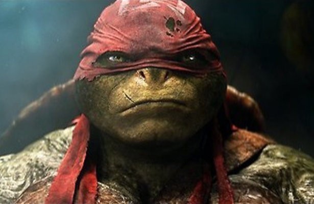 Schildpadden redden New York