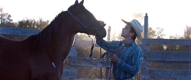 Op zoek naar een nieuw leven
