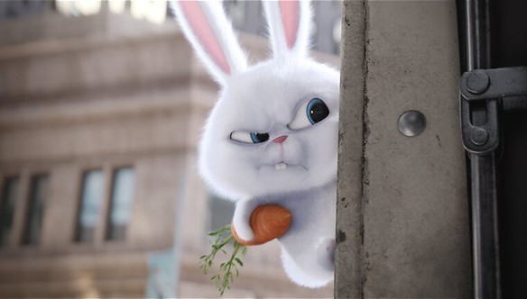 De geheimen van je huisdier