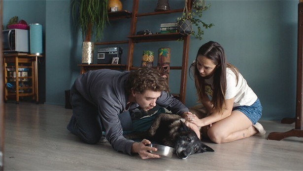 Een dwaas plan in Thuisfront