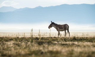 The hidden kingdoms of China