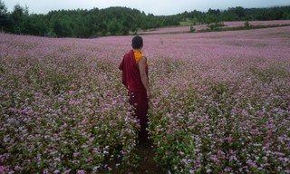 The Monk and the Gun
