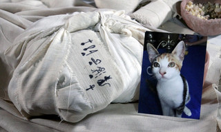 The Nile: Egypt's Great River with Bettany Hughes