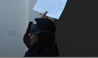 The Seed of the Sacred Fig