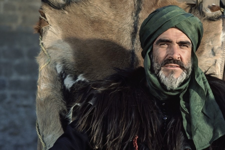 The Wind and the Lion